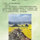 昆明旅游 缩略图 3