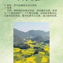 昆明旅游 缩略图 4