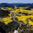 曲靖旅游 缩略图 3