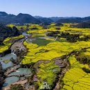 曲靖旅游 缩略图 4
