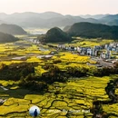曲靖旅游 缩略图 7