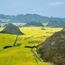 昆明旅游 缩略图 5