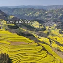 昆明旅游 缩略图 4