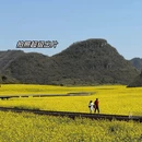 昆明旅游 缩略图 7