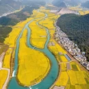 昆明旅游 缩略图 6