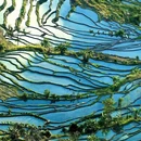 昆明旅游 缩略图 10