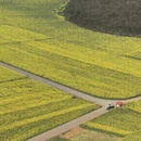 文山州旅游 缩略图 5