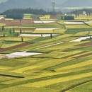 文山州旅游 缩略图 6