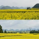 昆明旅游 缩略图 5
