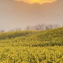 文山州旅游 缩略图 10