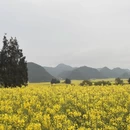 昆明旅游 缩略图 10