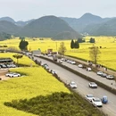 昆明旅游 缩略图 6