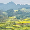 昆明旅游 缩略图 4