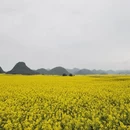 昆明旅游 缩略图 11