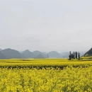昆明旅游 缩略图 15