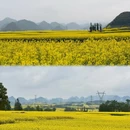 昆明旅游 缩略图 17