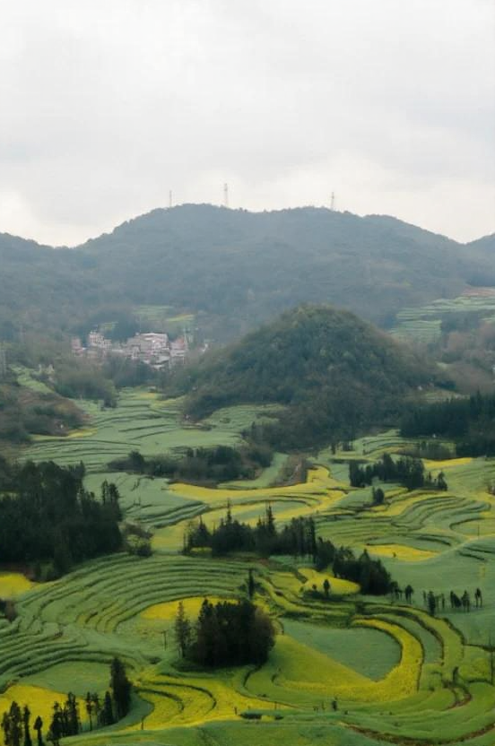 遵义旅游