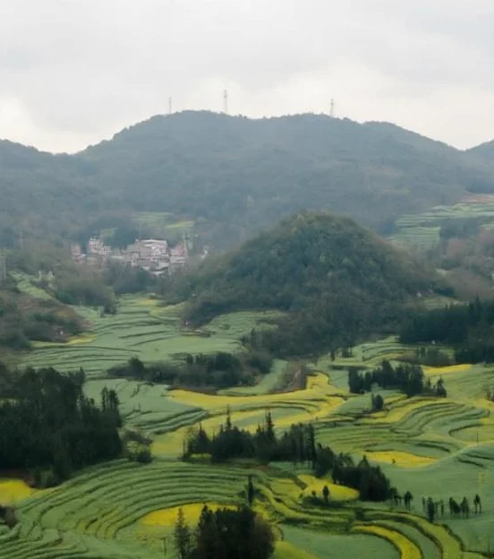遵义旅游 1