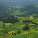 遵义旅游 缩略图 5