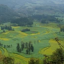 遵义旅游 缩略图 6