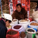 遵义旅游 缩略图 8