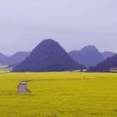 昆明旅游 缩略图 3