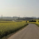 昆明旅游 缩略图 2