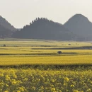 昆明旅游 缩略图 3
