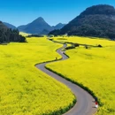 昆明旅游 缩略图 2