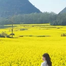 昆明旅游 缩略图 5