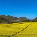 昆明旅游 缩略图 4