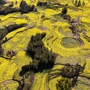 昆明旅游 缩略图 6