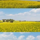 昆明旅游 缩略图 1
