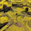 昆明旅游 缩略图 2
