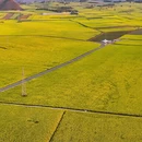 昆明旅游 缩略图 7