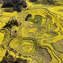 昆明旅游 缩略图 5