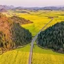 昆明旅游 缩略图 3