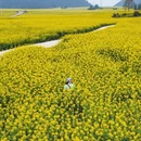 昆明旅游 缩略图 8