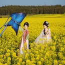 昆明旅游 缩略图 1