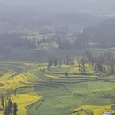 昆明旅游 缩略图 3