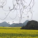 昆明旅游 缩略图 5