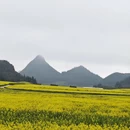 昆明旅游 缩略图 4