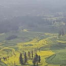 昆明旅游 缩略图 1
