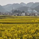 昆明旅游 缩略图 8