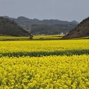 昆明旅游 缩略图 9
