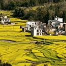 昆明旅游 缩略图 2