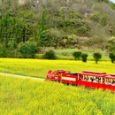 昆明旅游 缩略图 12
