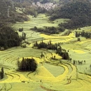 昆明旅游 缩略图 1