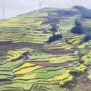 昆明旅游 缩略图 5