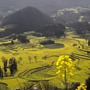 曲靖旅游 缩略图 4